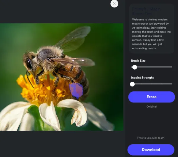 Remove Unwanted Objects from Photos in Three Simple Steps with ImgCleaner