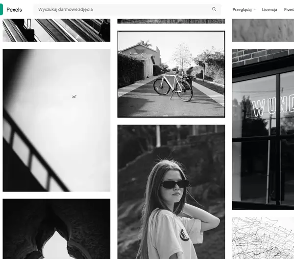 A selection of high-quality photos and videos from Pexels used in creative projects, available for free download.