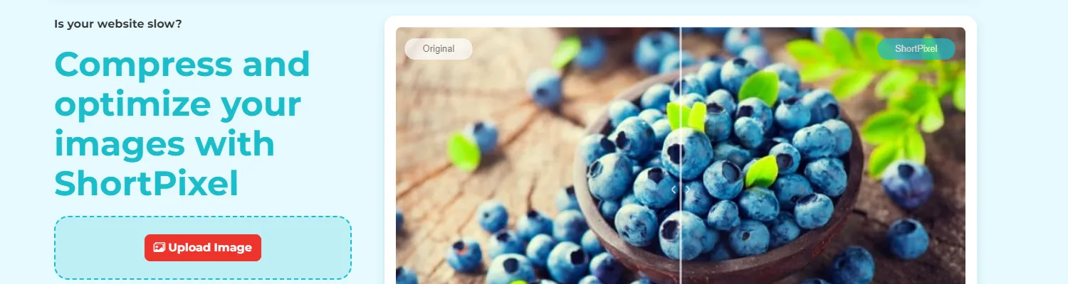 ShortPixel - Fast and Easy Image Compression for Website Optimization