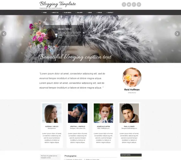 image joomla 3 template DD BLOGING 87