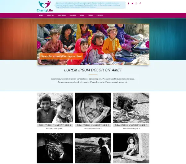 image joomla 3 template DD CHARITYLIFE 88