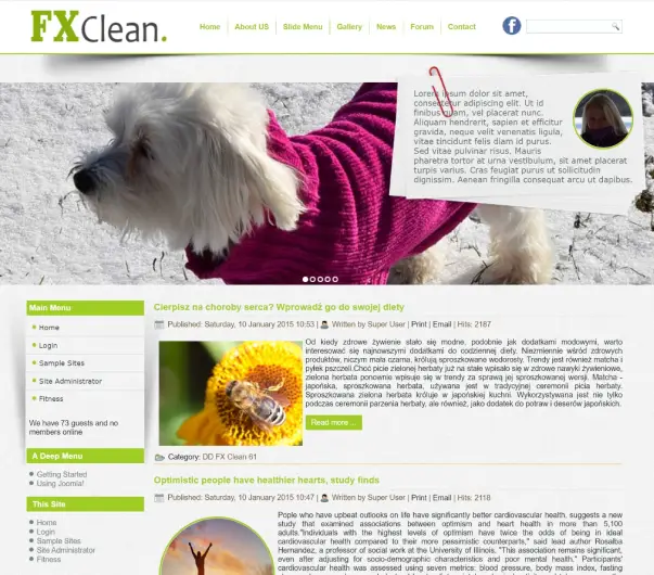 image joomla 3 template DD FXCLEAN 61