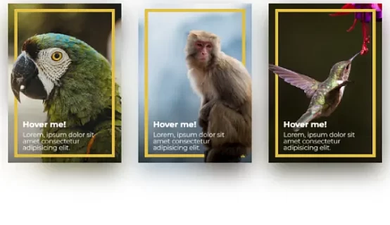 Home 3D Cards: Interactive and Engaging Web Design Elements